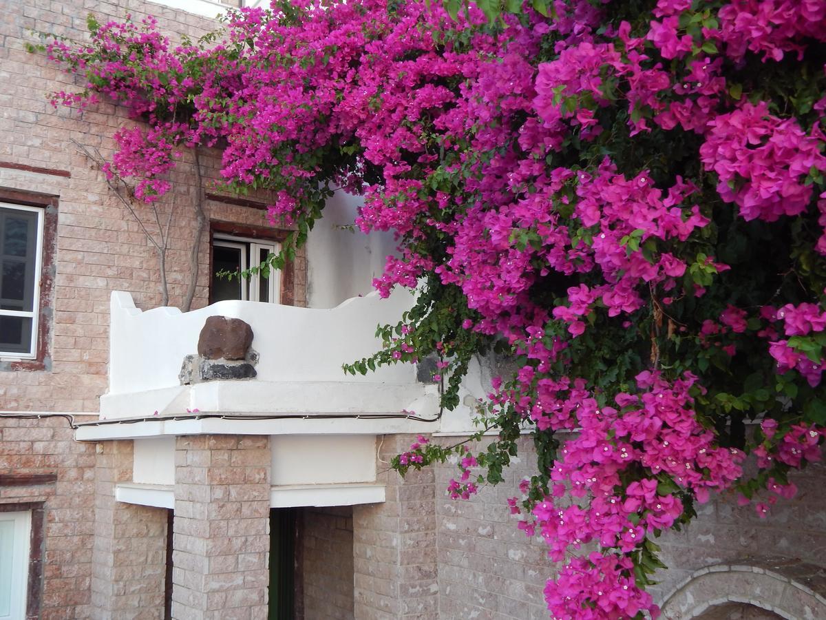 Hotel Le Petit Greek Fira  Esterno foto