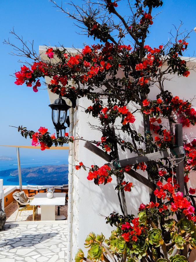 Hotel Le Petit Greek Fira  Esterno foto